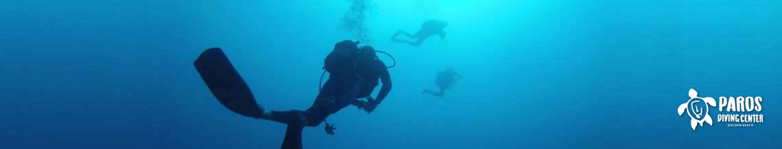 Paros Diving Center welcome
